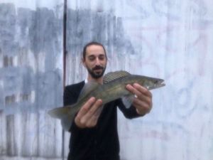 Zander