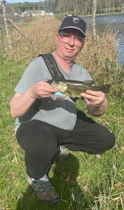 Smallmouth Bass