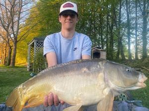 Mirror Carp