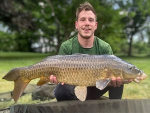 Common Carp