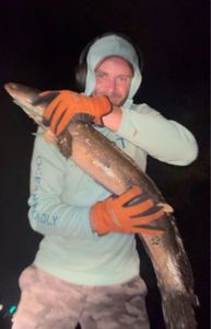 Snakehead
