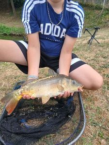 Mirror Carp