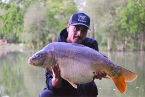 Mirror Carp
