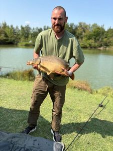 Mirror Carp