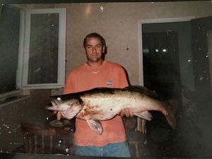 Zander