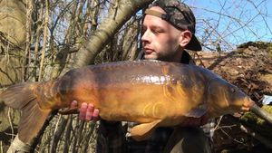 Mirror Carp
