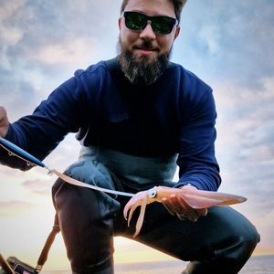 European Squid