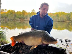 Mirror Carp