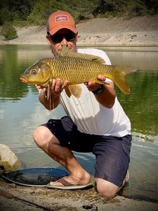 Common Carp