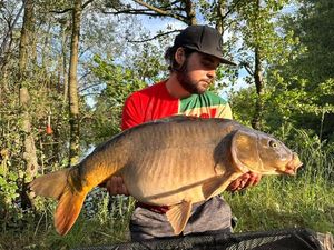 Mirror Carp