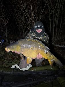 Mirror Carp