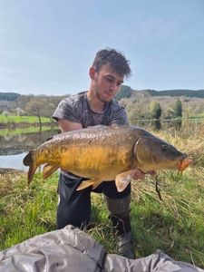 Mirror Carp