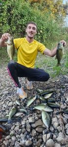 Largemouth Bass