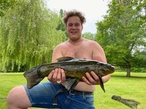 Tench