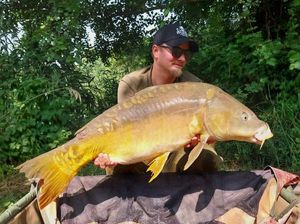 Mirror Carp