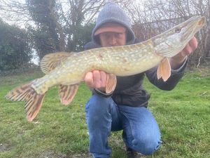 Northern Pike