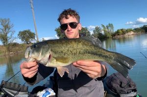 Largemouth Bass