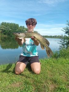 Northern Pike