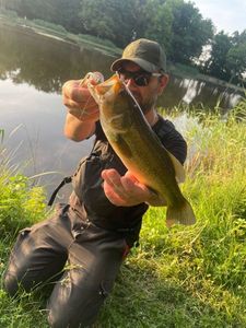 Largemouth Bass