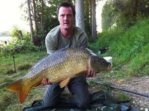 Common Carp