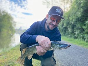 Northern Pike
