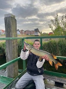 Northern Pike