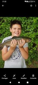 Brook Trout
