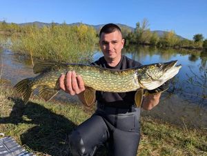 Northern Pike