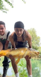 Mirror Carp