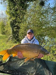 Mirror Carp