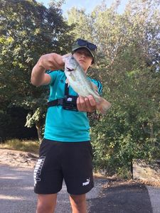 Smallmouth Bass