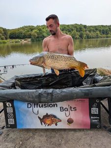 Mirror Carp
