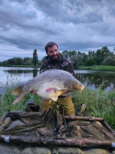 Mirror Carp