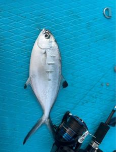 Leerfish (Garrick)
