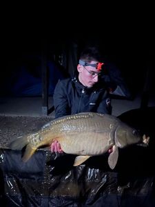 Leather Carp