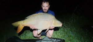 Mirror Carp