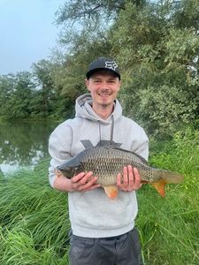 Common Carp