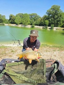 Mirror Carp
