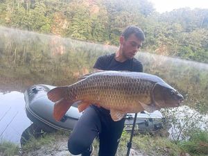Common Carp