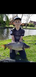 Common Carp