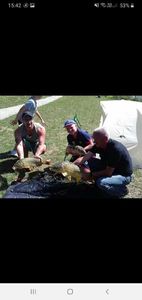Mirror Carp