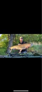 Grass Carp