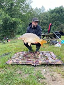 Mirror Carp