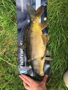 Leather Carp