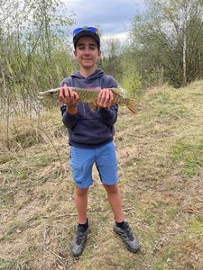 Northern Pike