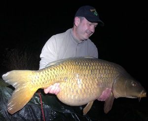 Common Carp