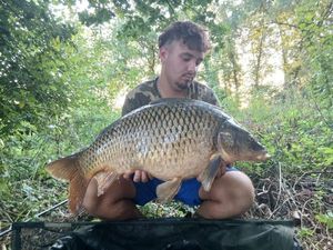 Common Carp