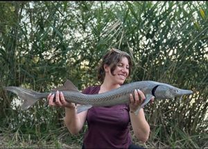 Sturgeon