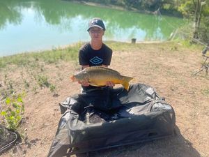 Mirror Carp