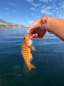Angler's catch photo